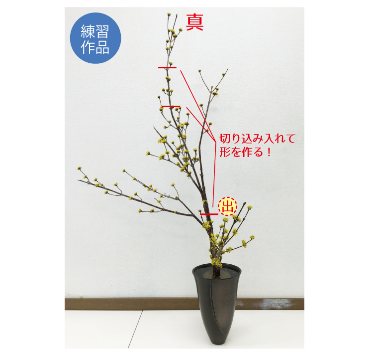 0生花　サンシュユ03