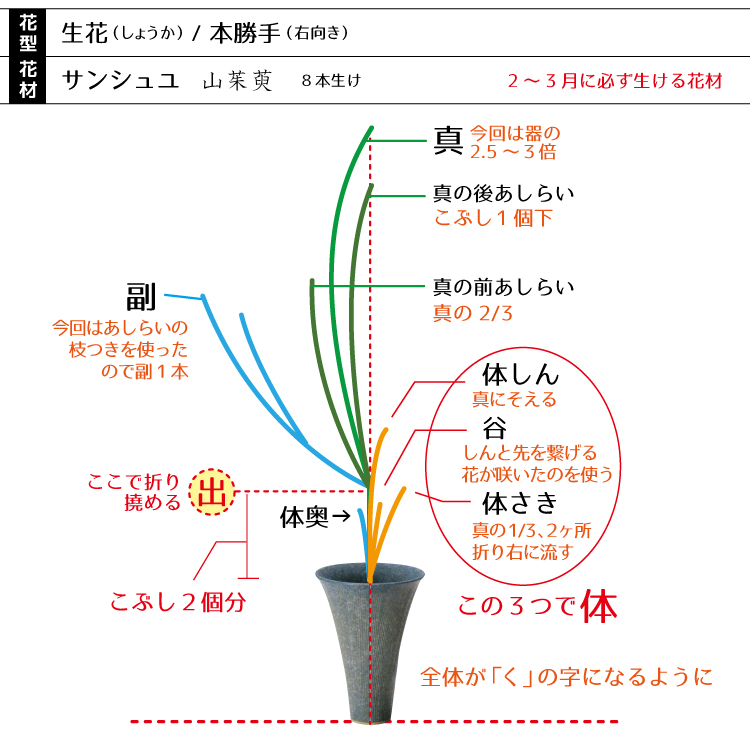 0生花　サンシュユ1