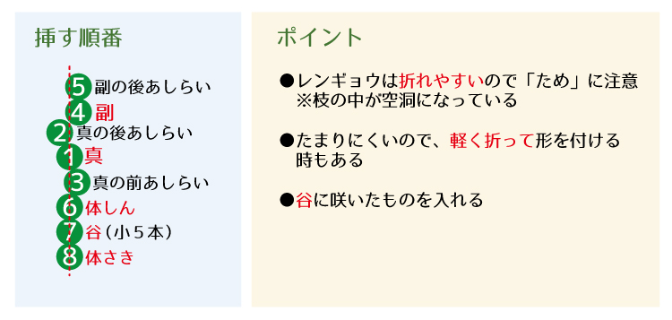 0生花　レンギョウ2