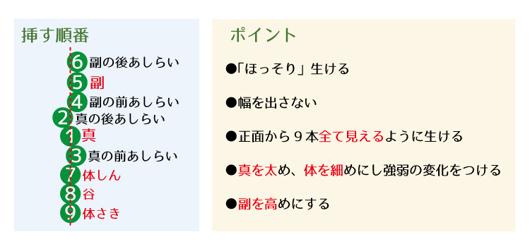 0生花　リアトリス2