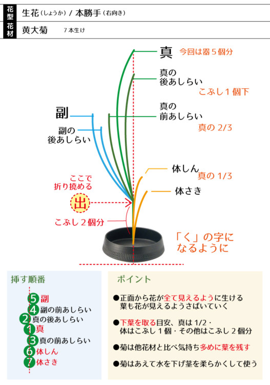 %e7%94%9f%e8%8a%b1%e3%80%80%e9%bb%84%e5%a4%a7%e8%8f%8a7%e6%9c%ac01