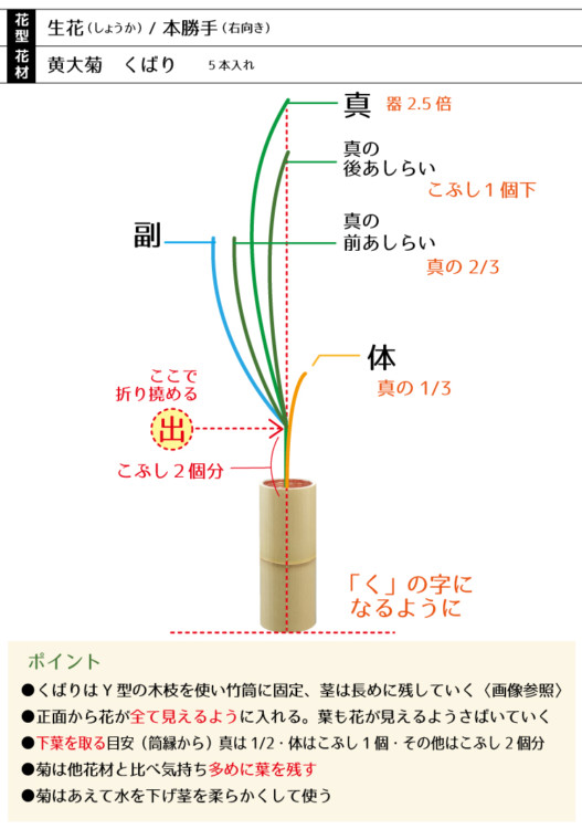 %e7%94%9f%e8%8a%b1%e3%80%80%e9%bb%84%e5%a4%a7%e8%8f%8a5%e6%9c%ac%e3%80%80%e3%81%8f%e3%81%b0%e3%82%8a1