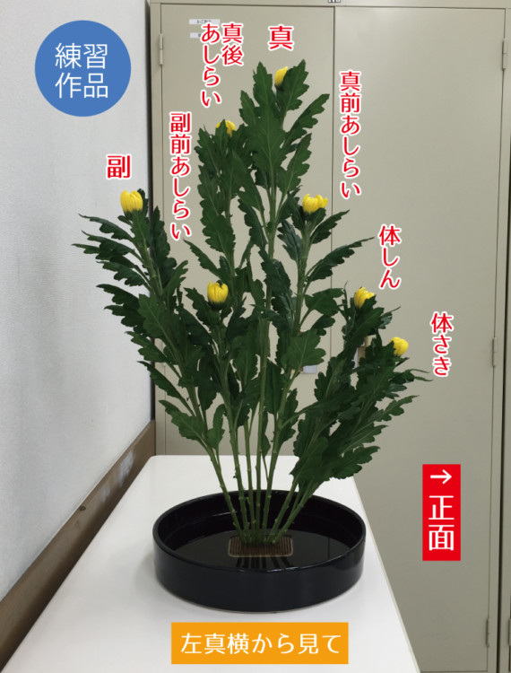 %e7%94%9f%e8%8a%b1%e3%80%80%e9%bb%84%e5%a4%a7%e8%8f%8a7%e6%9c%ac3