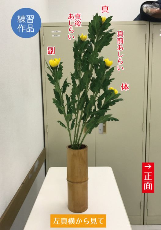 %e7%94%9f%e8%8a%b1%e3%80%80%e9%bb%84%e5%a4%a7%e8%8f%8a5%e6%9c%ac%e3%80%80%e3%81%8f%e3%81%b0%e3%82%8a4