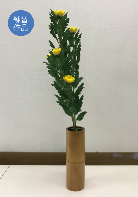 %e7%94%9f%e8%8a%b1%e3%80%80%e9%bb%84%e5%a4%a7%e8%8f%8a5%e6%9c%ac%e3%80%80%e3%81%8f%e3%81%b0%e3%82%8a3