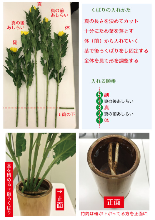 %e7%94%9f%e8%8a%b1%e3%80%80%e9%bb%84%e5%a4%a7%e8%8f%8a5%e6%9c%ac%e3%80%80%e3%81%8f%e3%81%b0%e3%82%8a2