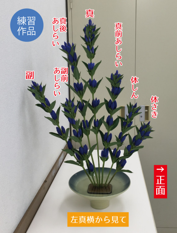 %e7%94%9f%e8%8a%b1%e3%80%80%e3%83%aa%e3%83%b3%e3%83%89%e3%82%a63